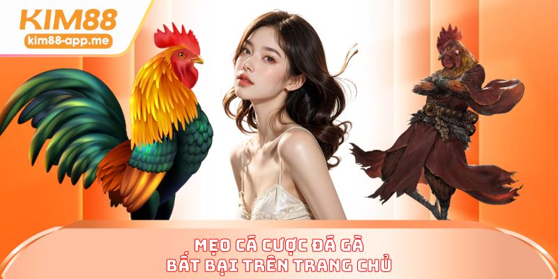 Mẹo cá cược đá gà bất bại trên trang chủ Mẹo cá cược đá gà bất bại trên trang chủ