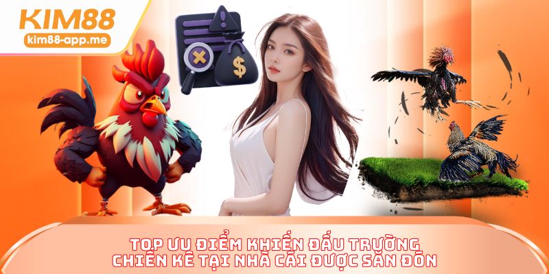 Top ưu điểm khiến đấu trường chiến kê tại nhà cái được săn đón Top ưu điểm khiến đấu trường chiến kê tại nhà cái được săn đón